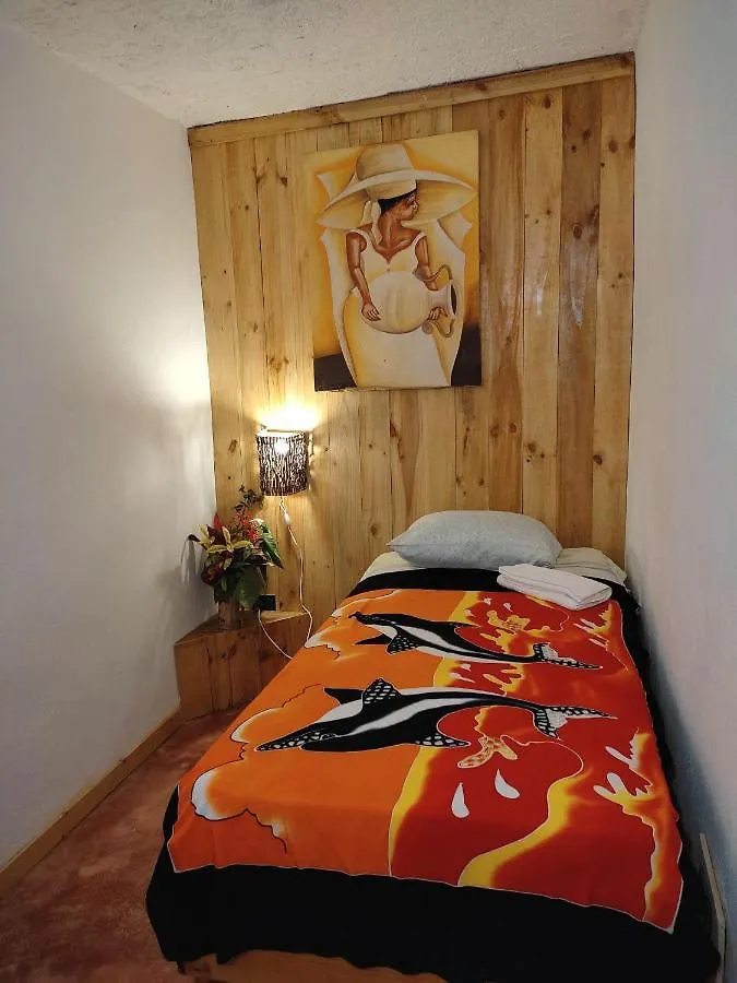 Hostel La Ballena Backpacker 라스갈레라스